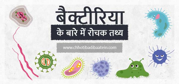 Interesting Facts & Information About Bacteria - बैक्टीरिया के बारे में रोचक तथ्य और जानकारी