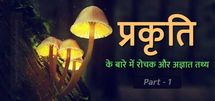 Interesting and unknown facts about nature - प्रकृति के बारे में रोचक और अज्ञात तथ्य