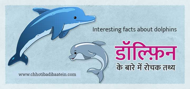 Interesting facts about dolphins - डॉल्फ़िन के बारे में रोचक तथ्य