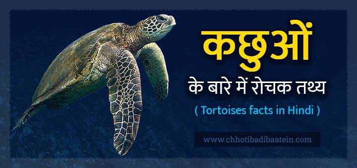 Interesting and amazing facts about Tortoises - कछुओं के बारे में रोचक और आश्चर्यजनक तथ्य