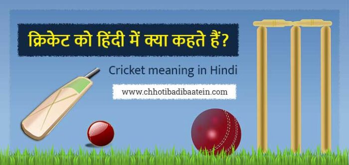 cricket-meaning-in-hindi