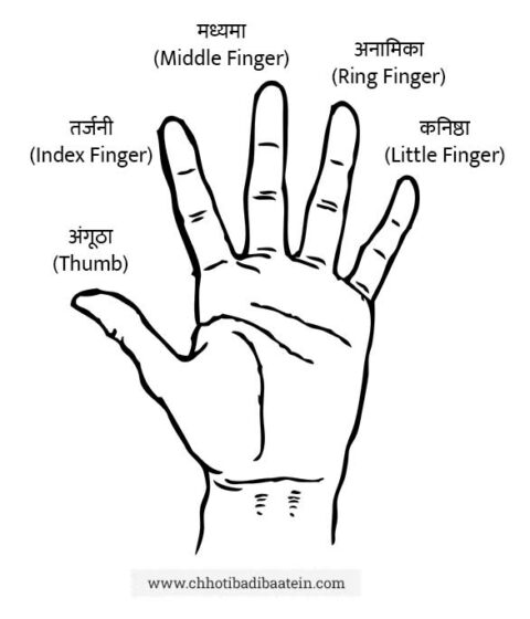 fingers-name-in-hindi-and-english