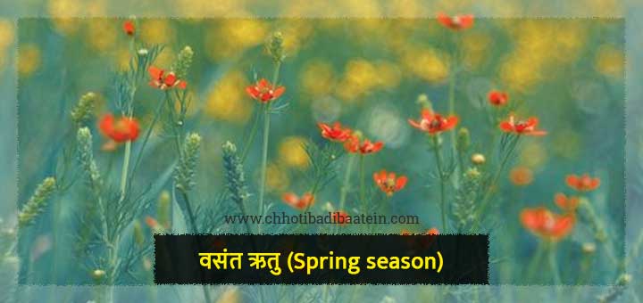 भारत की 6 ऋतुओं के नाम और जानकारी - Name and information of 6 seasons of India