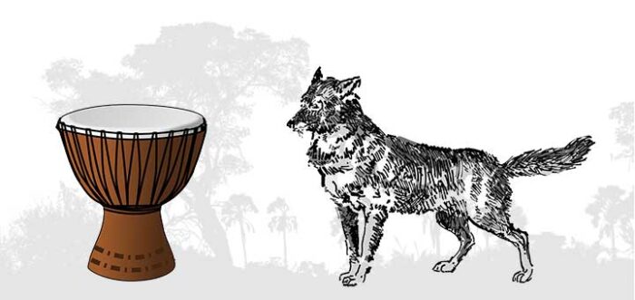 सियार और ढोल - पंचतंत्र की कहानी (The Jackal and the Drum Story In Hindi)