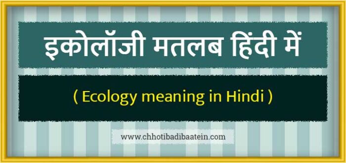 ecology-meaning-in-hindi