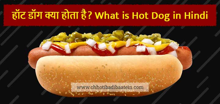 हॉट डॉग क्या होता है? What is Hot Dog in Hindi
