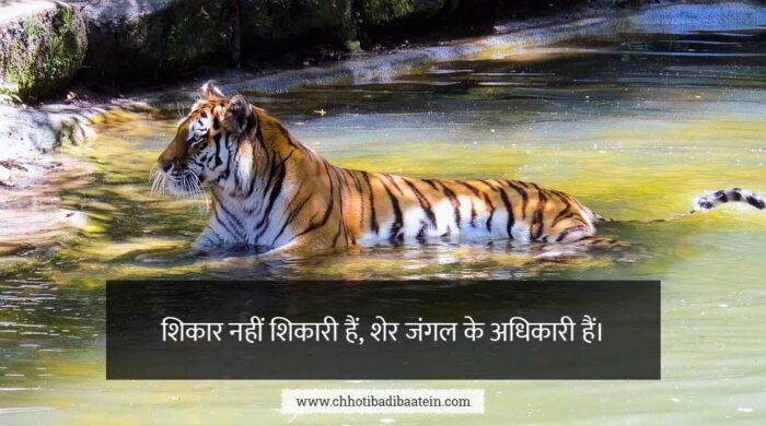 Slogans On Save Tiger In Hindi - बाघ बचाओ पर नारे हिंदी में
