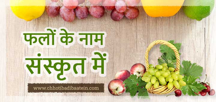 फलों के नाम संस्कृत में - Names of fruits in Sanskrit