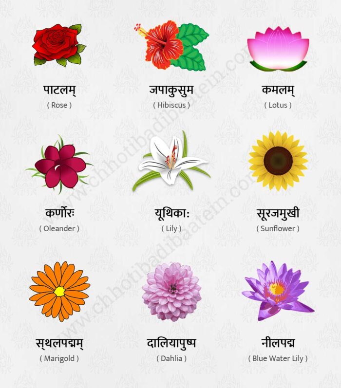 name of 10 flowers in sanskrit