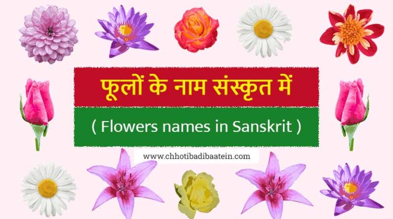 flowers-names-in-sanskrit