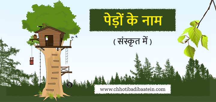 पेड़ों के नाम संस्कृत में - Names of trees in Sanskrit