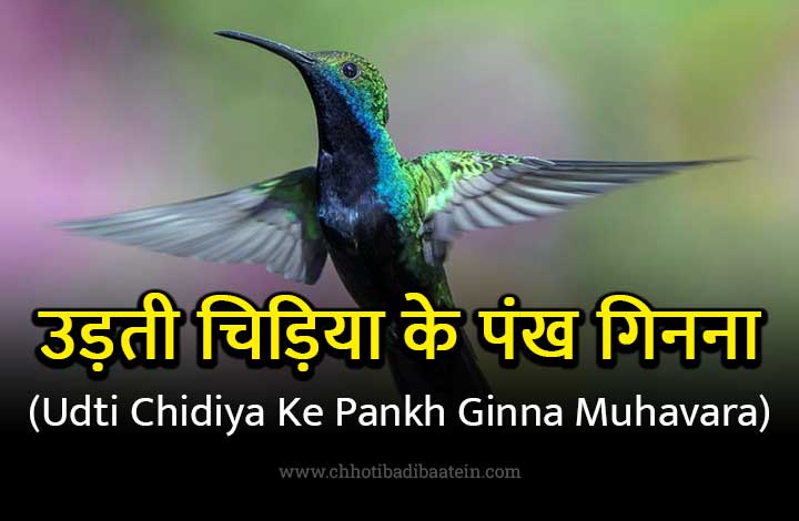 Udti Chidiya Ke Pankh Ginna Muhavare Ka Matlab